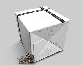 Auto Bottom Box Erector